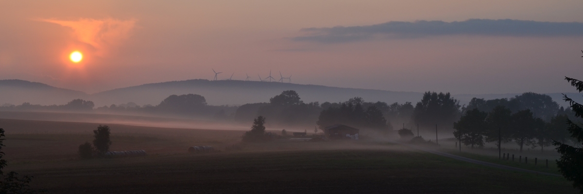 Sonnenaufgang im Nebel Sonnenaufgang im Nebel